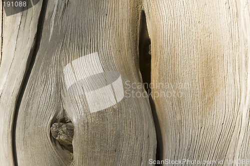 Image of Wooden texture