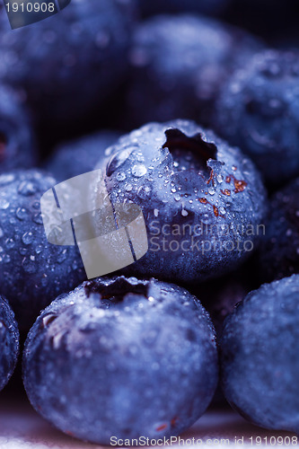 Image of wet blueberries 