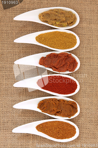 Image of Curry Powder and Paste