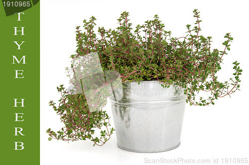 Image of Thyme Herb