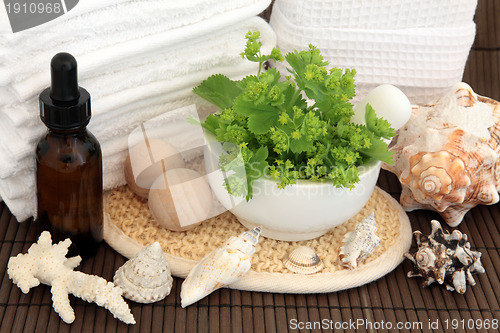 Image of Herbal Spa
