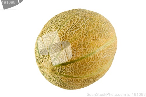 Image of Whole Australian rockmelon