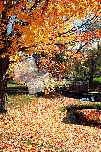 Image of Autumn scenic