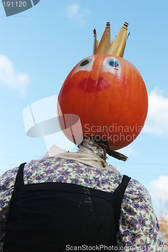 Image of Pumpkin person portrait