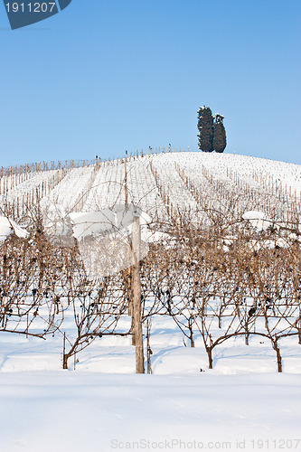 Image of Tuscany: wineyard in winter