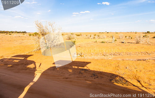 Image of Safari Vehicles silhouettes