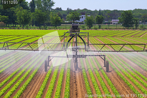 Image of Irrigation sprinkler