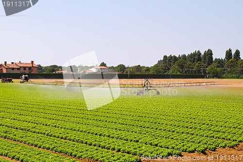 Image of Irrigation field