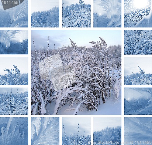 Image of Winter collage