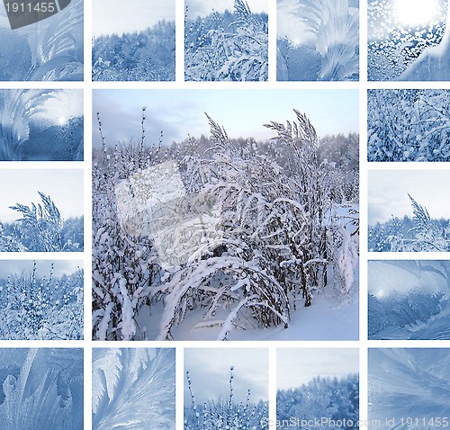 Image of Winter collage