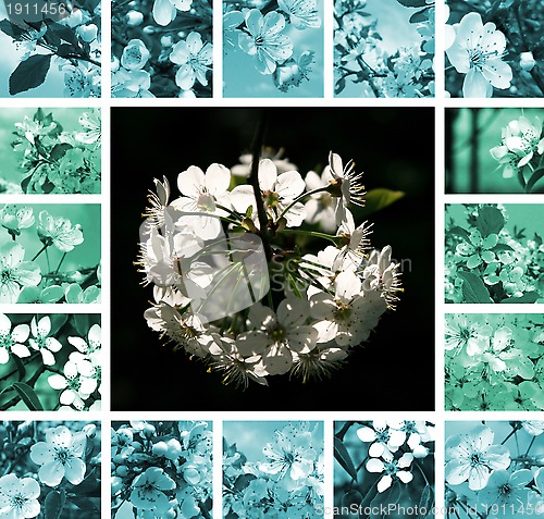 Image of Spring trees collage