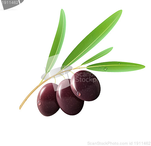 Image of Black olives