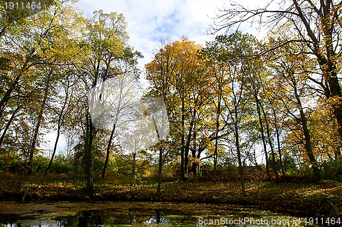 Image of Lake and trees