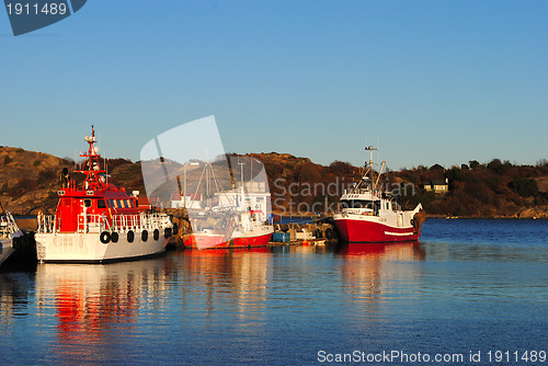 Image of Fishing boats