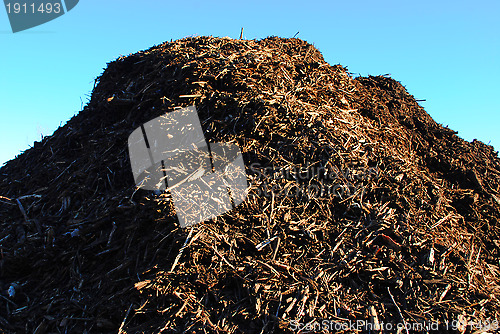 Image of Pile of bark