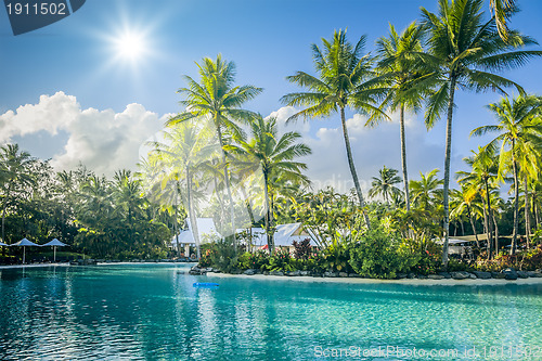 Image of palm tree and pool