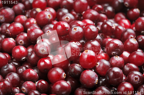 Image of Cranberries