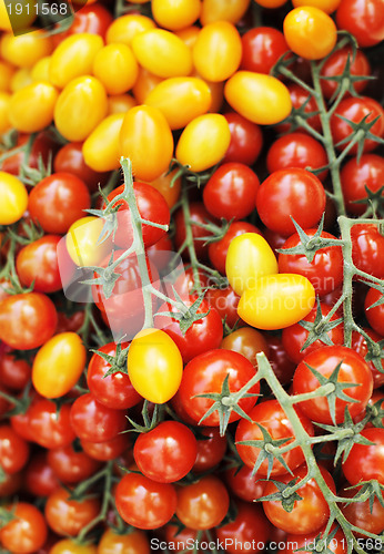 Image of Tomatoes