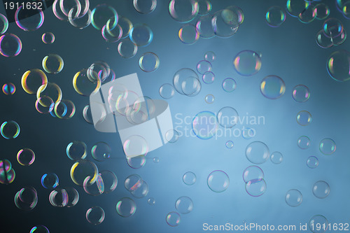 Image of Soap Bubbles