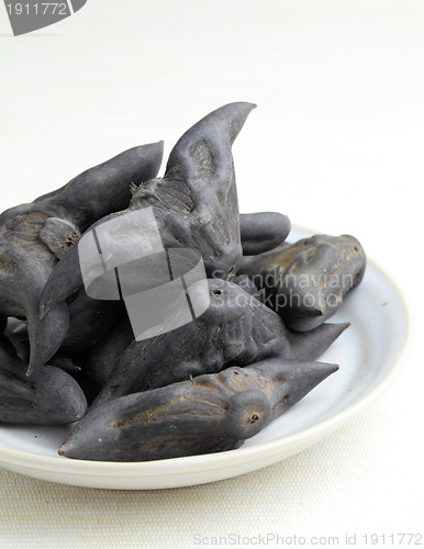 Image of Water Caltrop