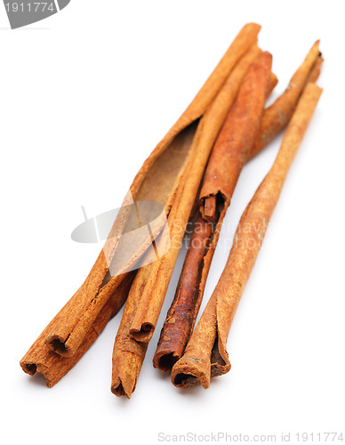 Image of cinnamon