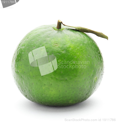 Image of green lime citrus fruit