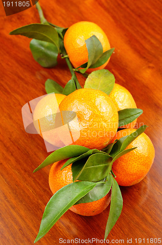 Image of mandarin on wooden background