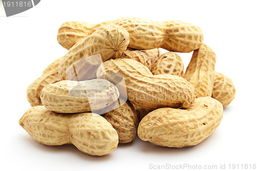 Image of Peanut on white background