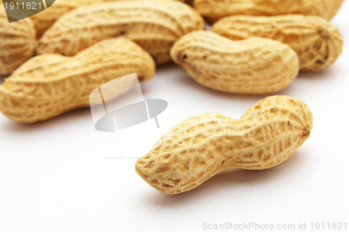 Image of close up of peanut