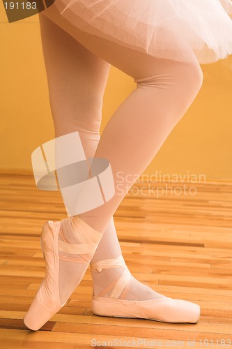 Image of Ballerina #01