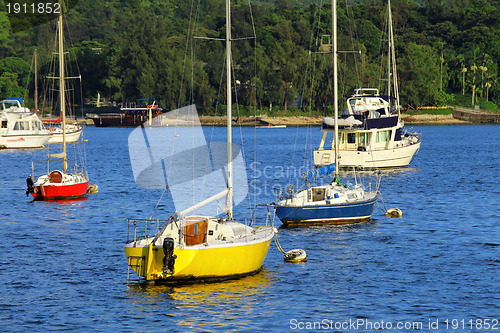 Image of Yachts in bay