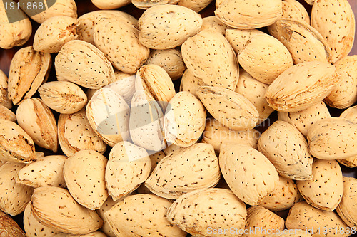 Image of almond nut