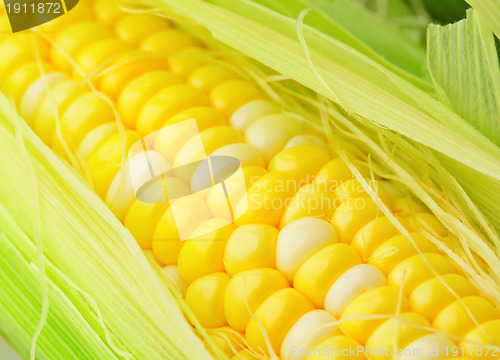 Image of corn cob