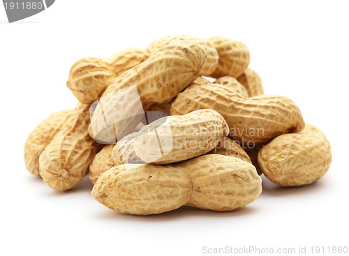 Image of Peanuts on white ground