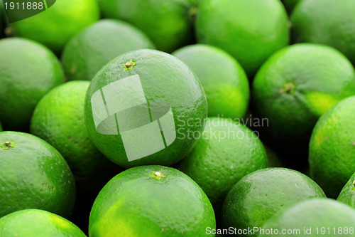 Image of lime citrus fruit