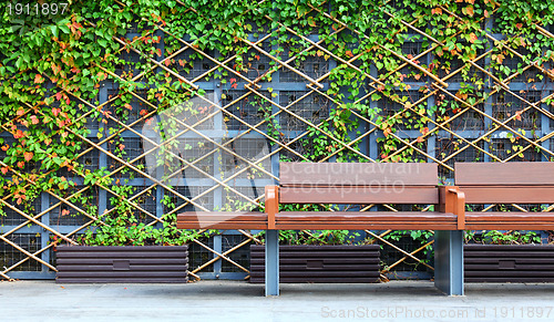 Image of bench in front of green hedge