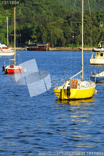 Image of Yachts in bay