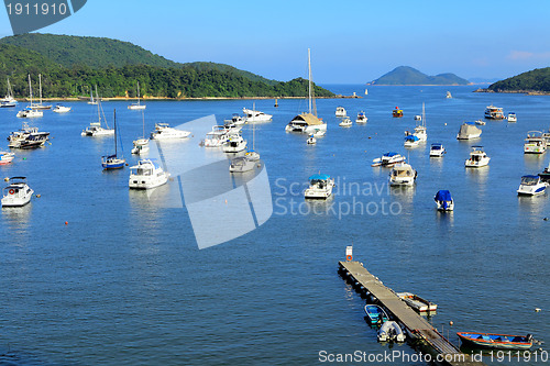 Image of Yachts in bay