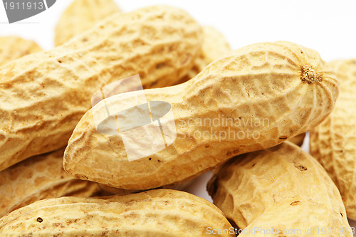 Image of Peanuts on white background