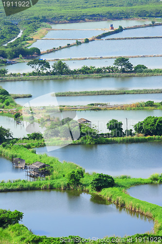 Image of Fish hatchery pond