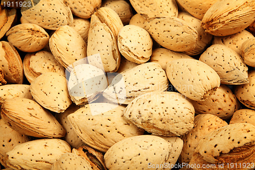 Image of almond nut