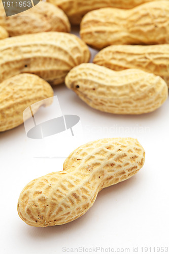 Image of Peanut on white background