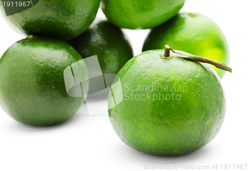 Image of green citrus
