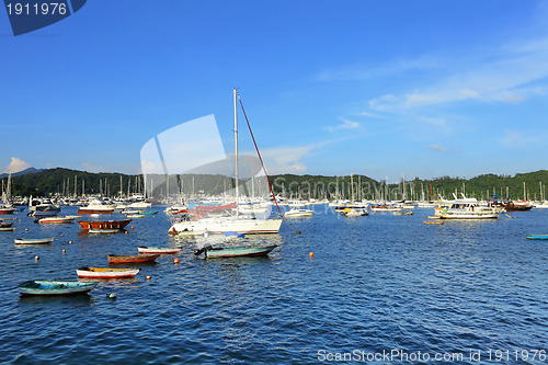 Image of Yachts in bay