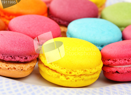 Image of macaroon