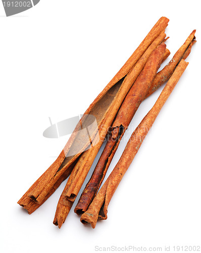 Image of cinnamon sticks