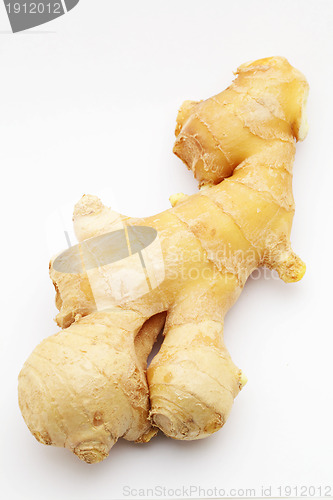 Image of ginger on white 