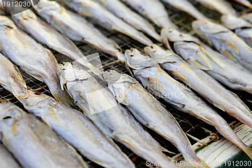 Image of salted fishes