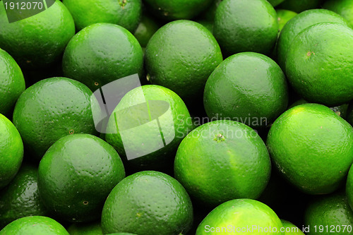 Image of green lime citrus fruit