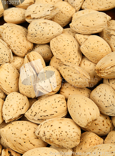 Image of almond nut